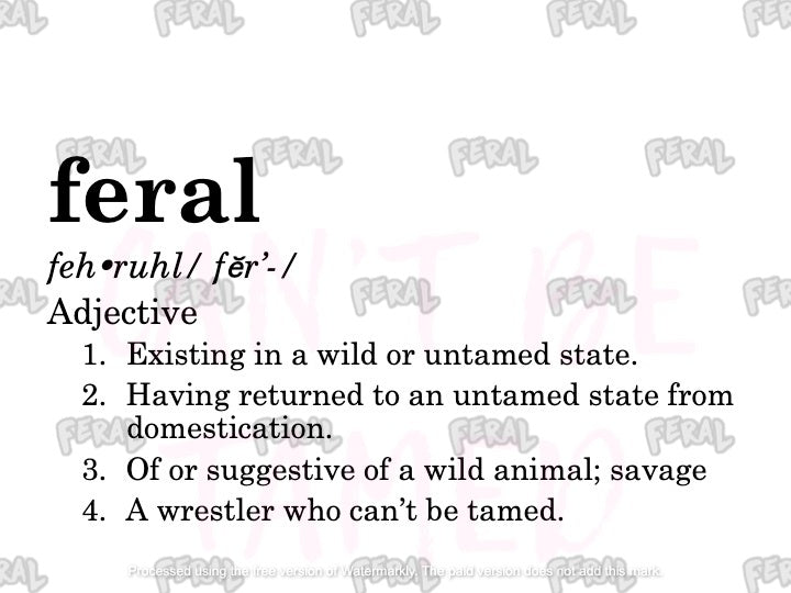 Definition of Feral - Youth Sizes